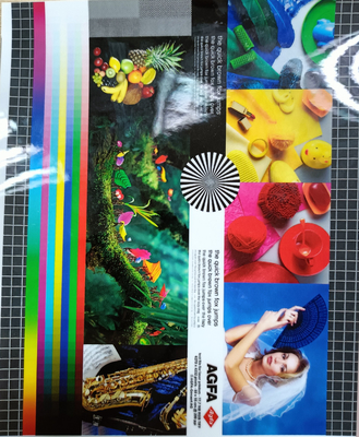 Good price 1920mm Breedte 30mic Glanzende Multiple Extrusie PET Warm Laminating Film Voor Foto Beschermingslaag online